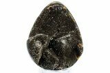 Septarian Dragon Egg Geode - Sparkly Black Crystals #308806-1